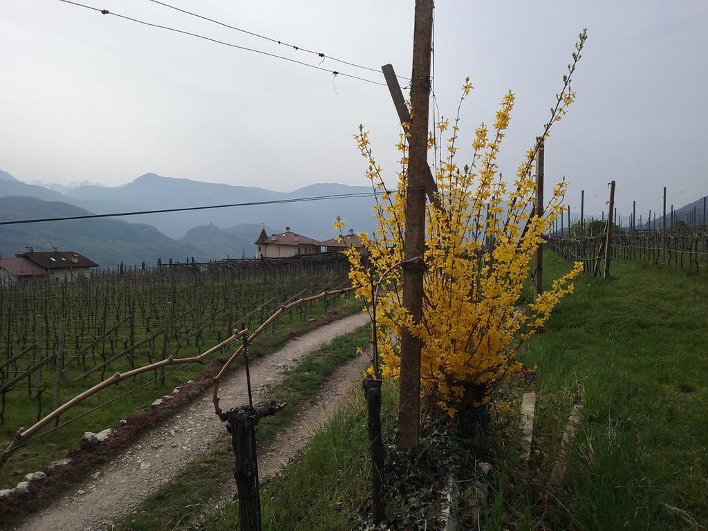 Wiesmuellerhof กัลดาโร ภายนอก รูปภาพ