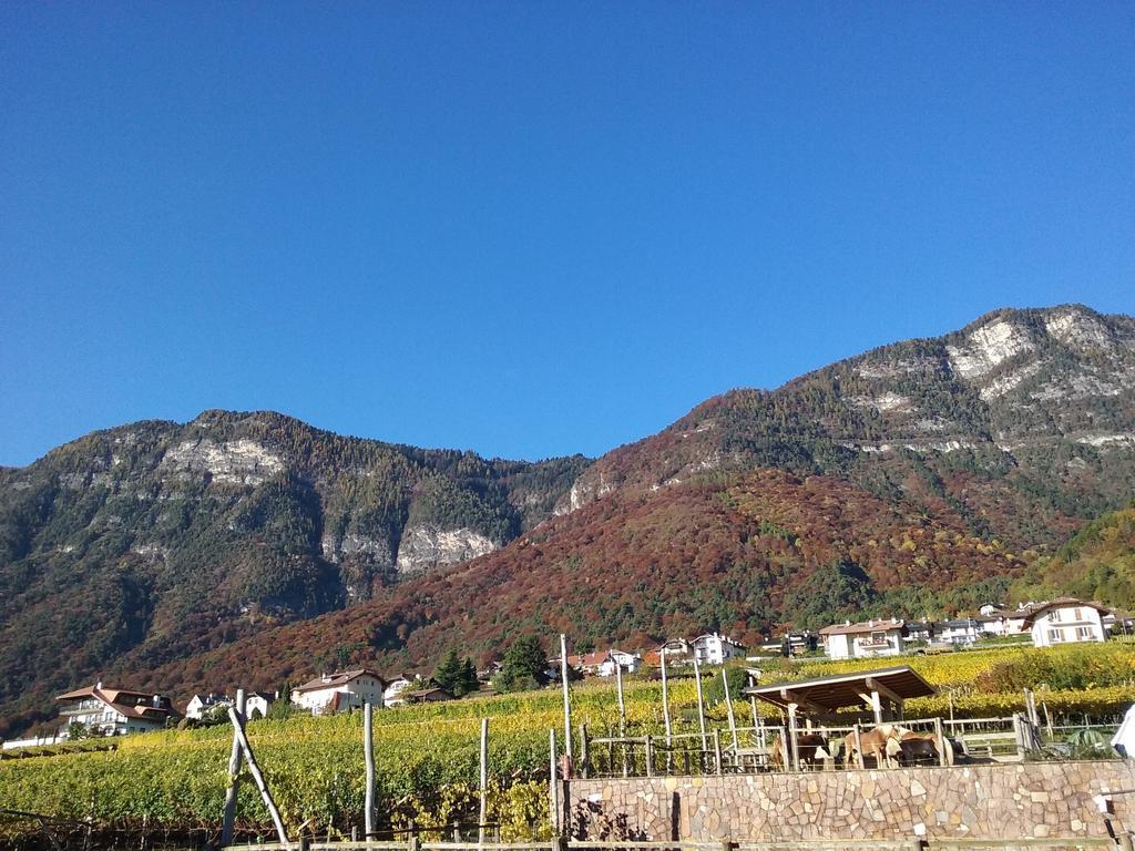 Wiesmuellerhof กัลดาโร ภายนอก รูปภาพ