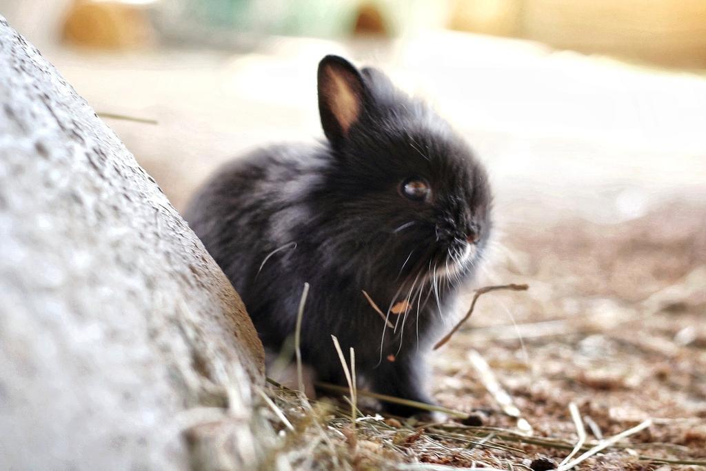 Wiesmuellerhof กัลดาโร ภายนอก รูปภาพ