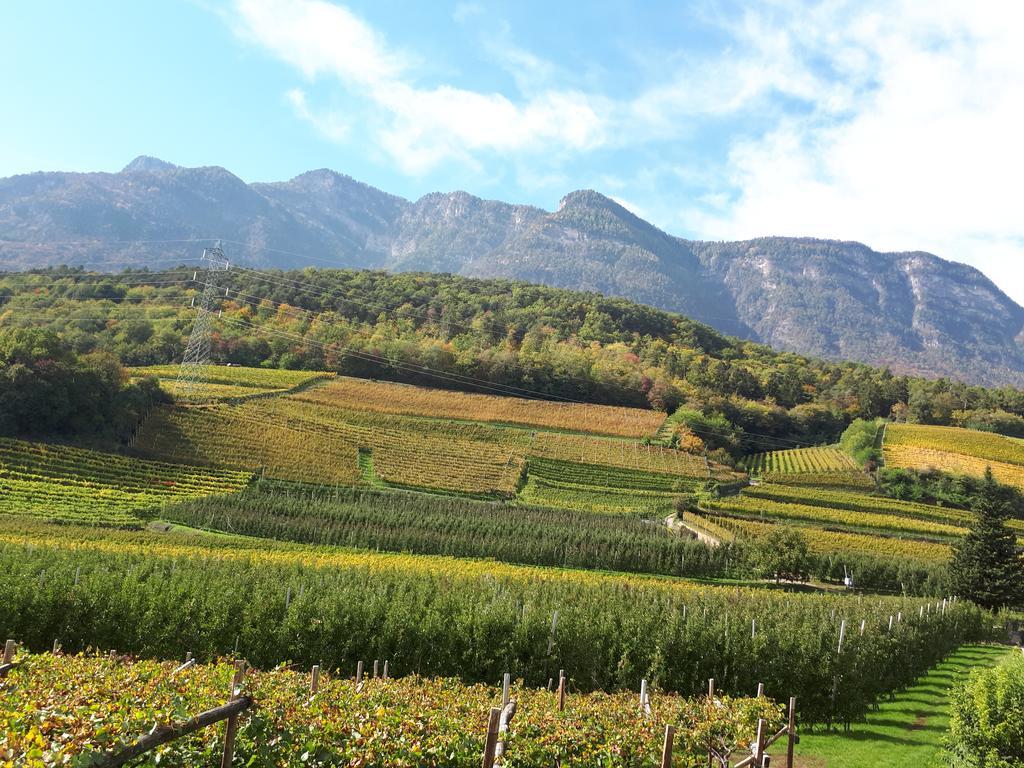 Wiesmuellerhof กัลดาโร ภายนอก รูปภาพ