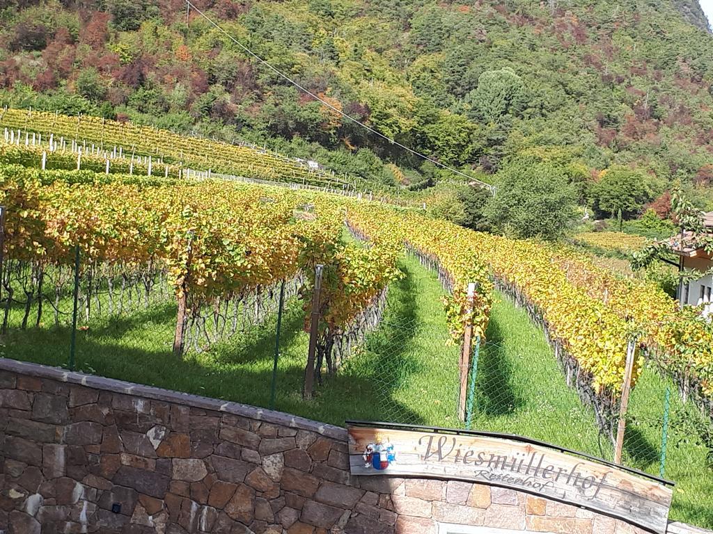 Wiesmuellerhof กัลดาโร ภายนอก รูปภาพ